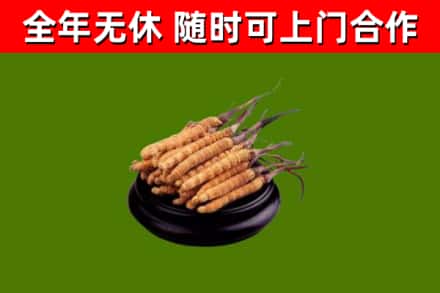萨迦县烟酒回收冬虫夏草.jpg