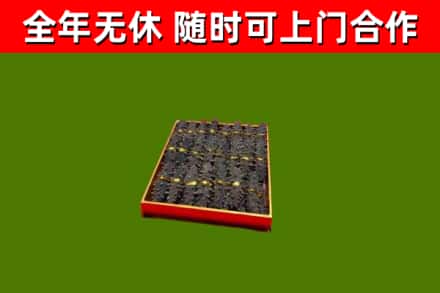 萨迦县烟酒回收海参.jpg